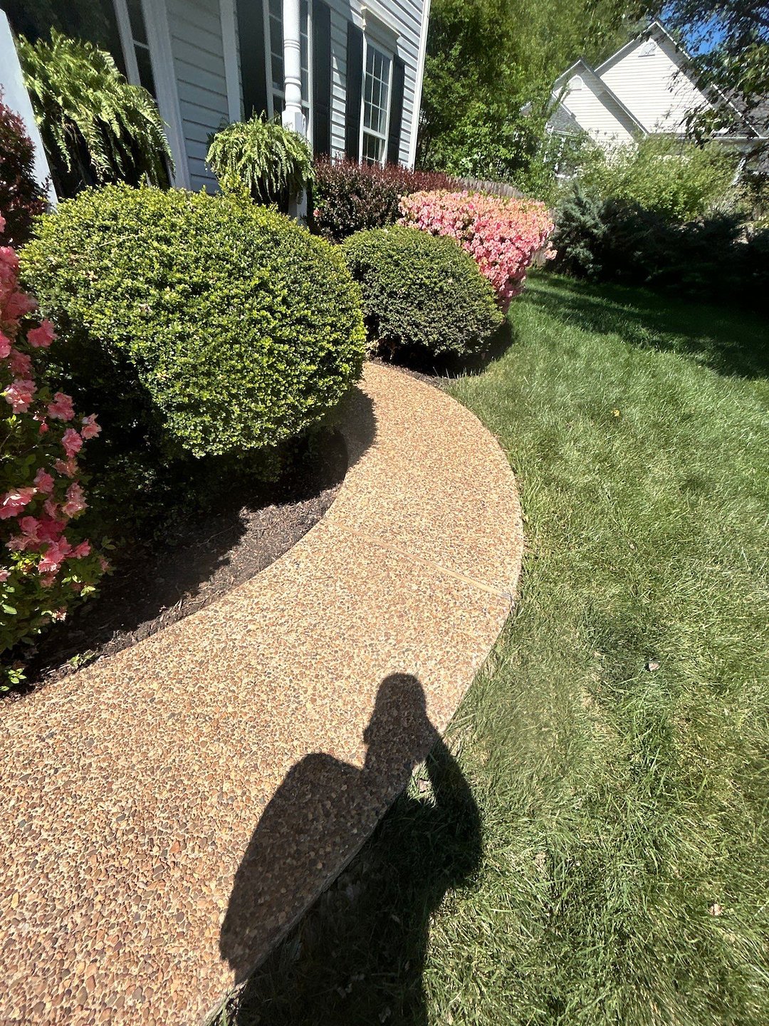 After Pressure Washing a House in Crozet, VA | Dr. Powerwash Project