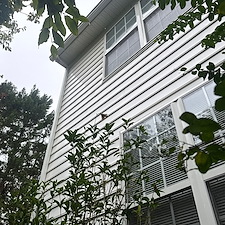Dunlora-Neighborhood-House-Soft-Wash-Cleaning-in-Charlottesville 0